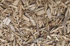 biomass boilers Long Dean